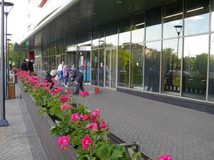 Novopetrovskaya Street, 6, Moscow: photo