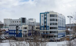 Polyarnye Zori Street, 15, Murmansk: photo