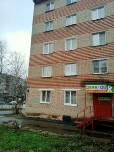 50 Let Oktyabrya Street, 20/12, Kolchugino: photo