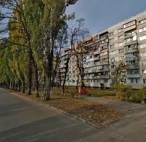 Entuziastiv Street, 3, Kyiv: photo