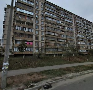 Mykoly Ushakova Street, 20А, Kyiv: photo