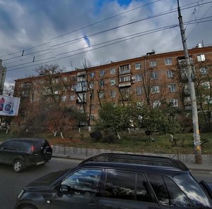 Valeriia Lobanovskoho Avenue, 53, Kyiv: photo