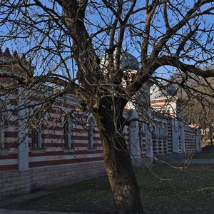Lenina Street, 50, : foto