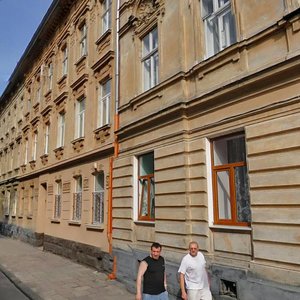 Vulytsia Vahylevycha, 7, Lviv: photo