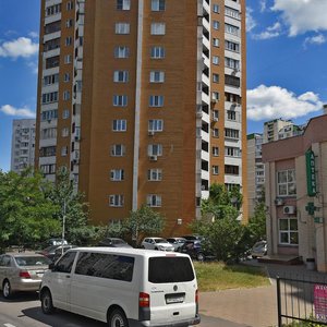 Vyshniakivska Street, 11, Kyiv: photo