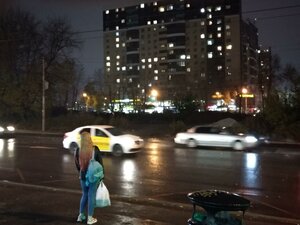 Пермь, Улица Чернышевского, 20: фото
