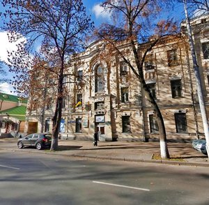 Moskovska Street, 38, Kyiv: photo