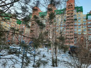 Ulitsa Stepantsa, 2, Omsk: photo