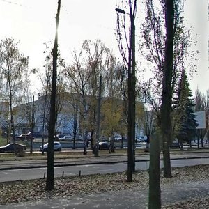 Vatslava Havela Boulevard, 23, Kyiv: photo