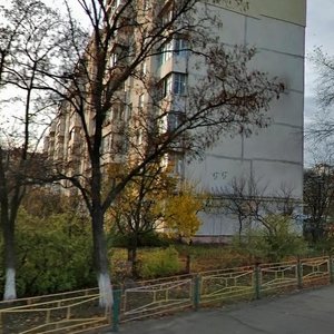 Pryrichna Street, 29, Kyiv: photo