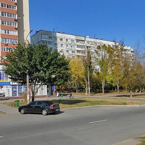 Yuvileinyi prospekt, 12, Zaporizhia: photo