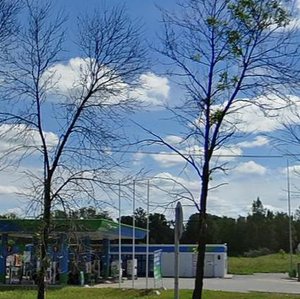 Kolpinskoye shosse, 117 ، سان بطرسبرغ: صورة