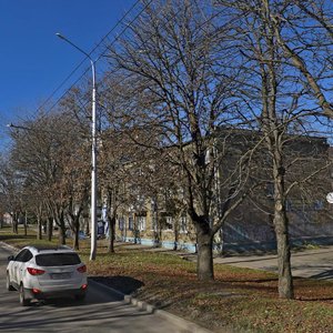 Lenina Street, 395, : foto