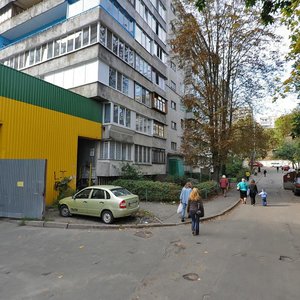 Vasylkivska Street, 8А, Kyiv: photo