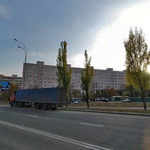 Heroiv Stalinhrada Avenue, 13, Kyiv: photo