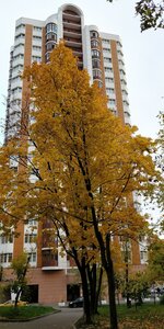 Vatutina Street, 18к2 ، موسكو: صورة