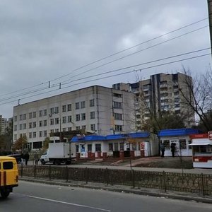 Akademika Yefremova Street, 11, Kyiv: photo