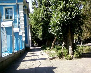 Oktyabrskoy Revolyutsii Avenue, 51, Stavropol: photo