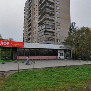 Krylenko Street, 31, Saint Petersburg: photo
