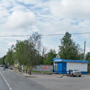 Ulitsa Nikitova, 7, Arkhangelsk: photo