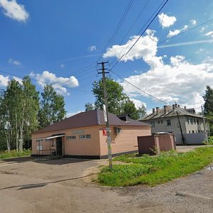 Отрадное, 16-я линия, 29: фото