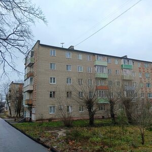 50 Let Oktyabrya Street, 24, Kolchugino: photo