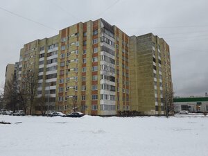 Udarnikov Avenue, 32к3, Saint Petersburg: photo