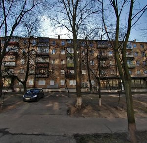 Volodymyra Salskoho Street, 11, Kyiv: photo