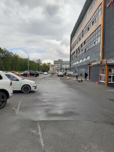Bestuzhevskaya Street, 10А ، سان بطرسبرغ: صورة
