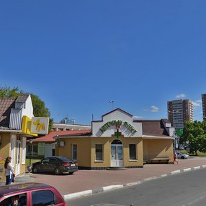 Moskovskaya Street, 27 ، : صورة