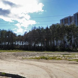 Parashyutnaya Street, 46 ، سان بطرسبرغ: صورة