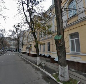 Butyshiv Lane, 11, Kyiv: photo