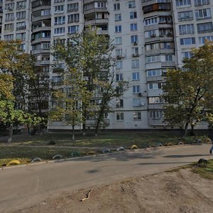 Pavla Tychyny Avenue, 20, Kyiv: photo