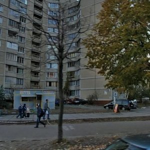 Dekabrystiv Street, 10, Kyiv: photo