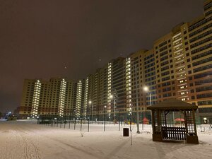 Домодедово, Улица Кирова, 17к1: фото