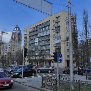 Lesi Ukrainky Boulevard, 11 ، كييف: صورة