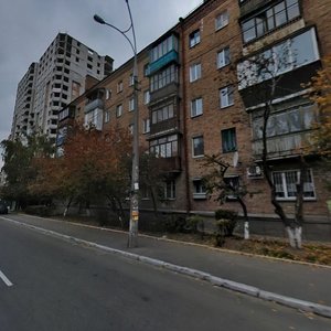 Borschahivska Street, 202, Kyiv: photo