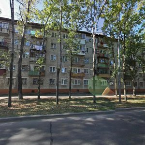 Kalinina Street, 51, Birobidgan: photo