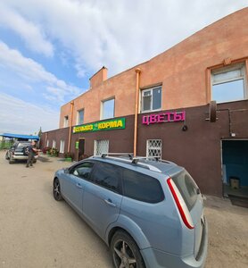 Ulitsa Birlovo Pole, 2вл2, : foto