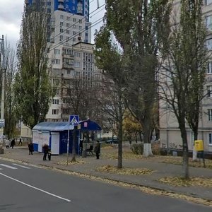 Yakuba Kolasa Street, 5, Kyiv: photo
