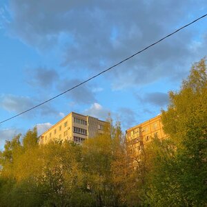 Gorkogo Street, 129 ، : صورة