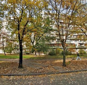 Pavla Tychyny Avenue, 21, Kyiv: photo