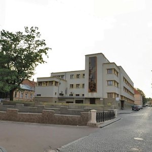 Shkilna vulytsia, 6, : foto