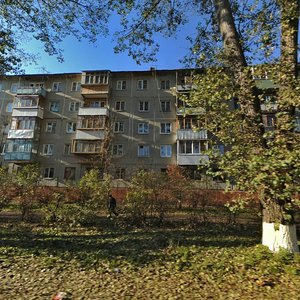 Kalinina Street, 79, Tula: photo