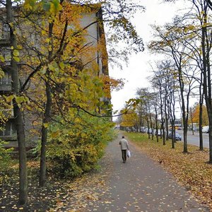 Lensoveta Street, 81, Saint Petersburg: photo