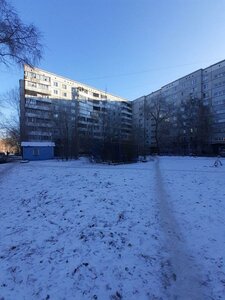 Омск, Улица Дмитриева, 2/1: фото