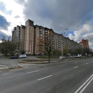 Valeriia Lobanovskoho Avenue, 130, Kyiv: photo