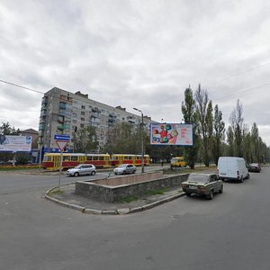 Vatslava Havela Boulevard, 31, Kyiv: photo