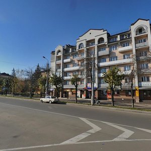 Vulytsia Yevhena Konovaltsia, 138 ، : صورة
