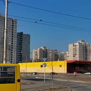 Volodymyra Maiakovskoho Avenue, 85, Kyiv: photo